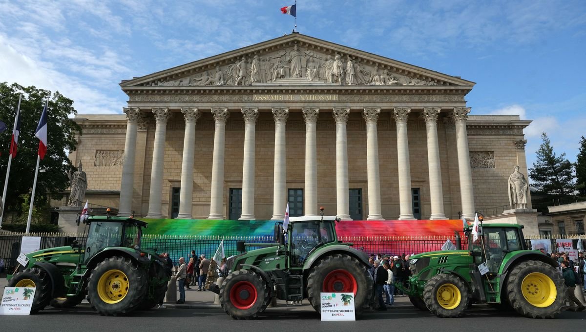 Loi Duplomb : les campagnes de lobbying sont-elles antidémocratiques ?