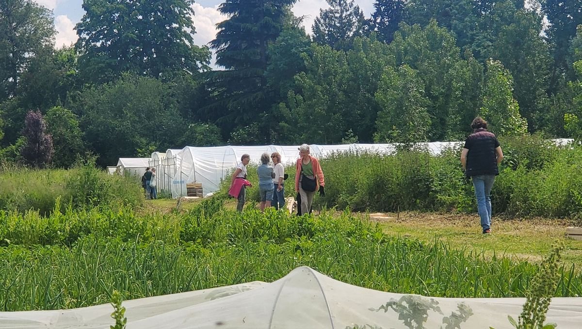 Potager Label Vie : une ferme urbaine et bio sur un ancien terrain de foot