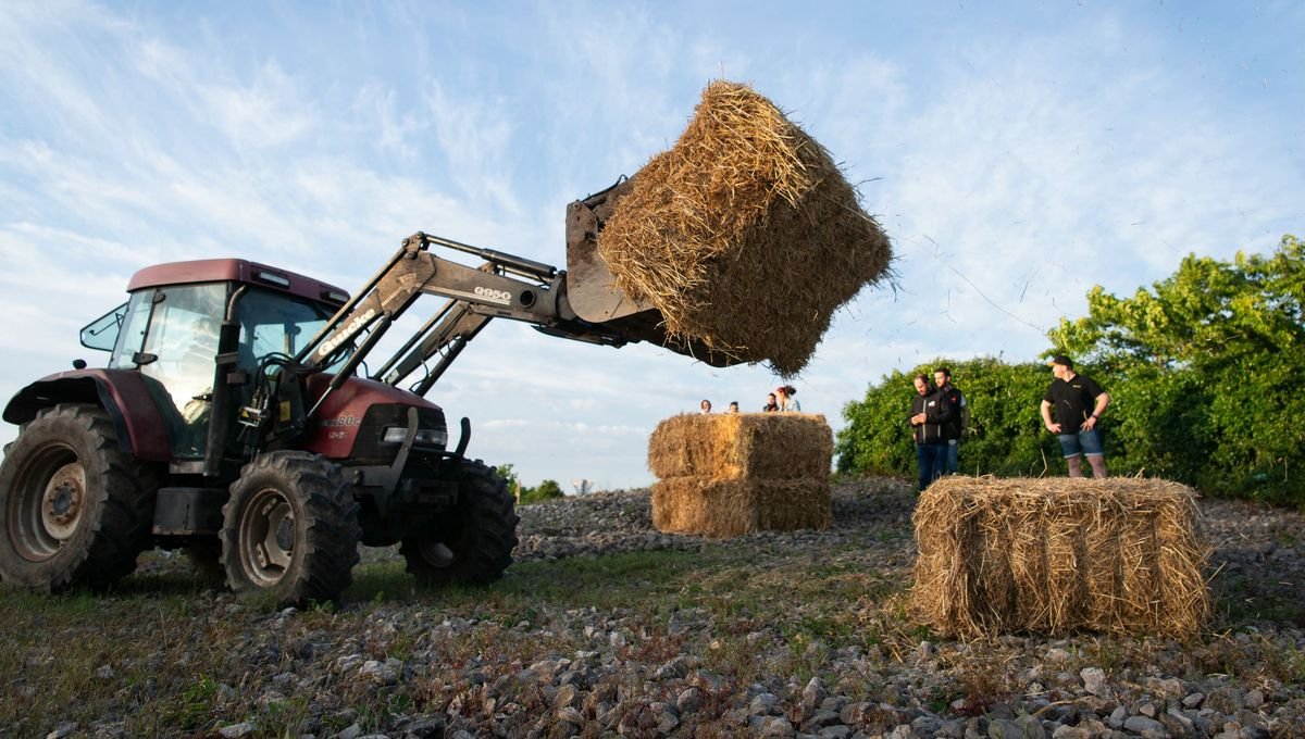 Loi Duplomb : quelle transition pour notre agriculture?