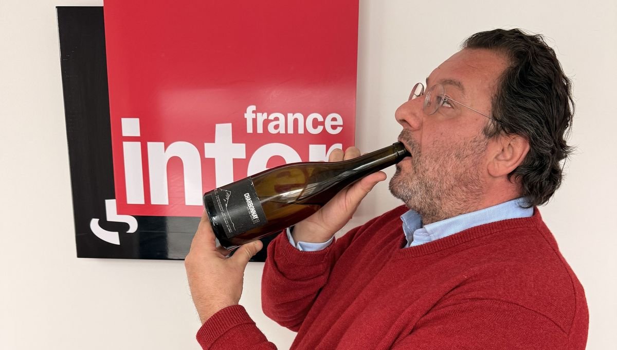 Dans le Nord, le pari audacieux d’un grand vin blanc