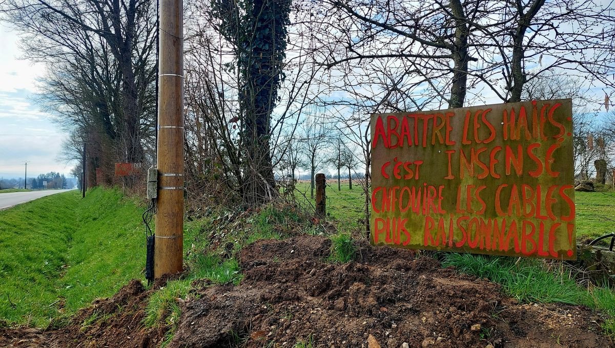 Dans l’Orne, le déploiement de la fibre et la guerre des poteaux