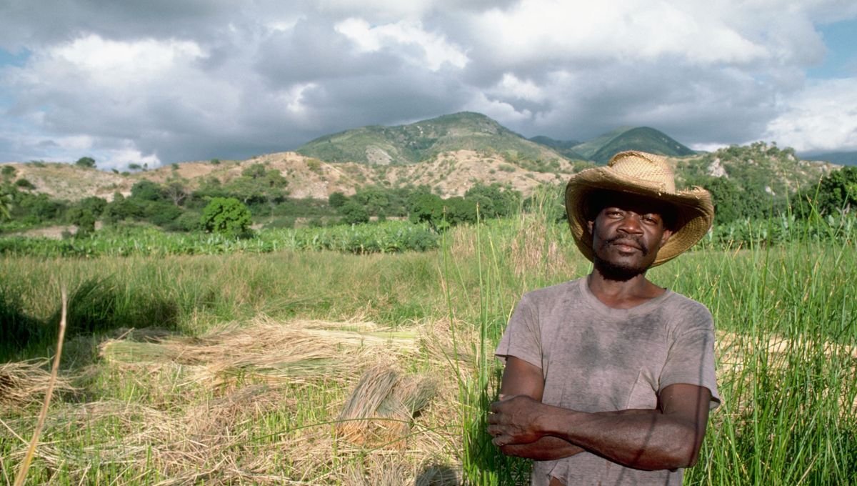 Le « score d’efficacité des paysages » de la Banque mondiale : une notion néocoloniale