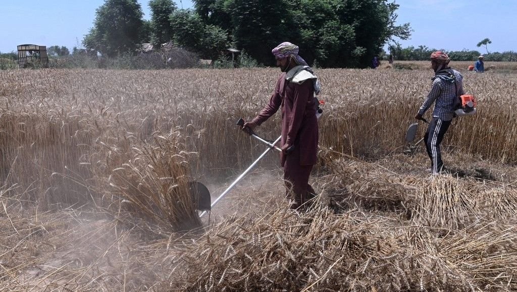 Pakistan : l’armée prend le contrôle de l’économie