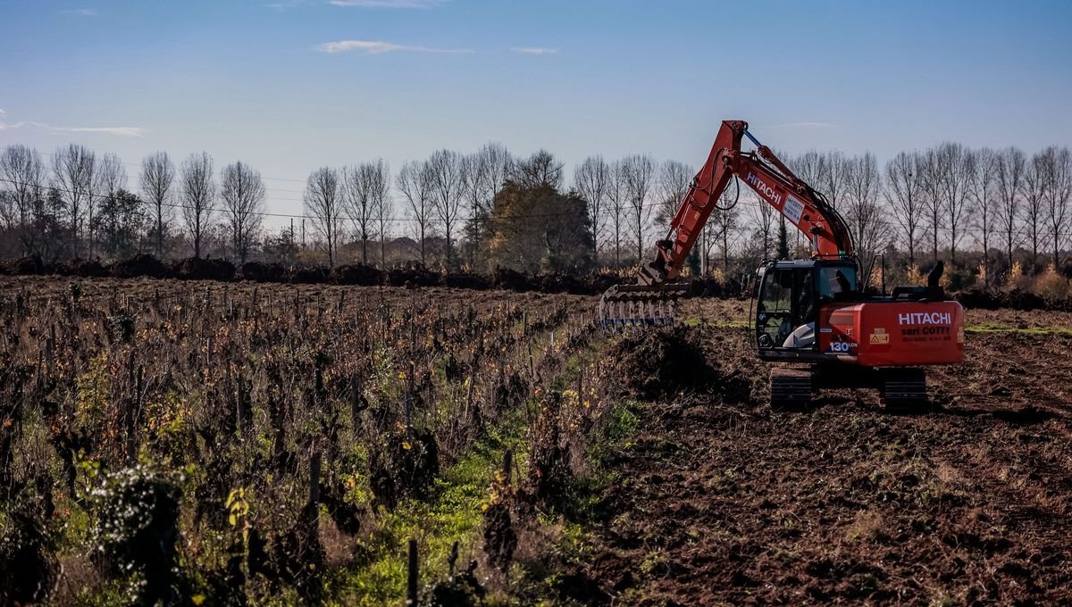 De Cognac à Bordeaux, le tournis des vins et spiritueux