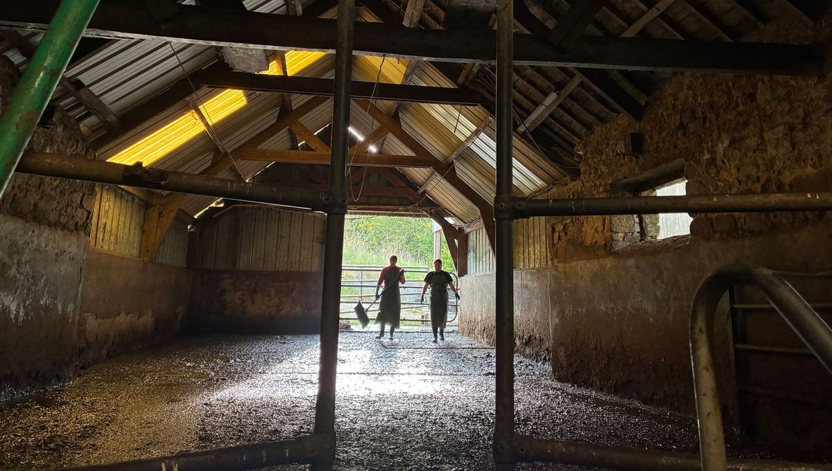 Islamophobie ordinaire – Remplaçante d’agriculteurs