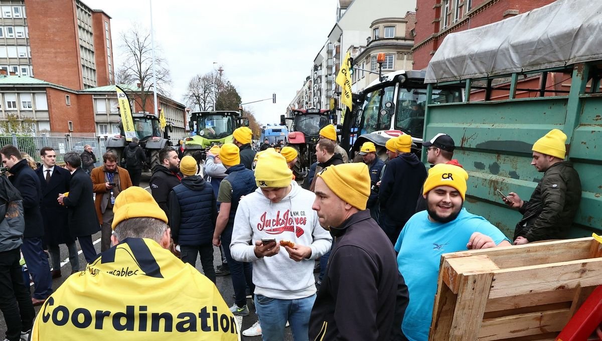 Un agriculteur au bord de la crise de nerfs