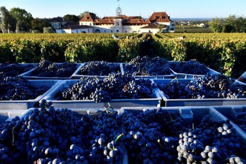 Saint-Emilion, les châteaux en guerre