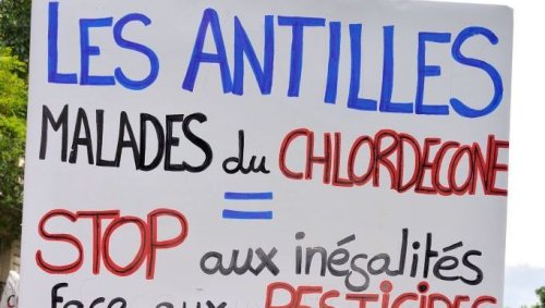 Décision historique dans l’affaire du chlordécone cette semaine