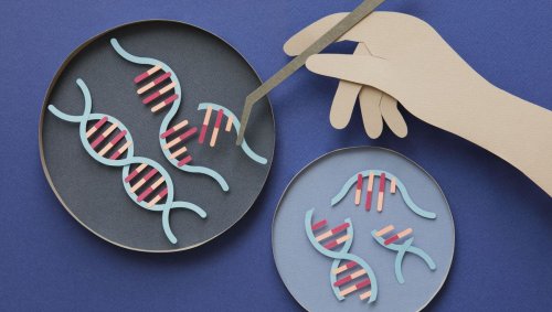 Une première thérapie génique entièrement personnalisée pour sauver un bébé