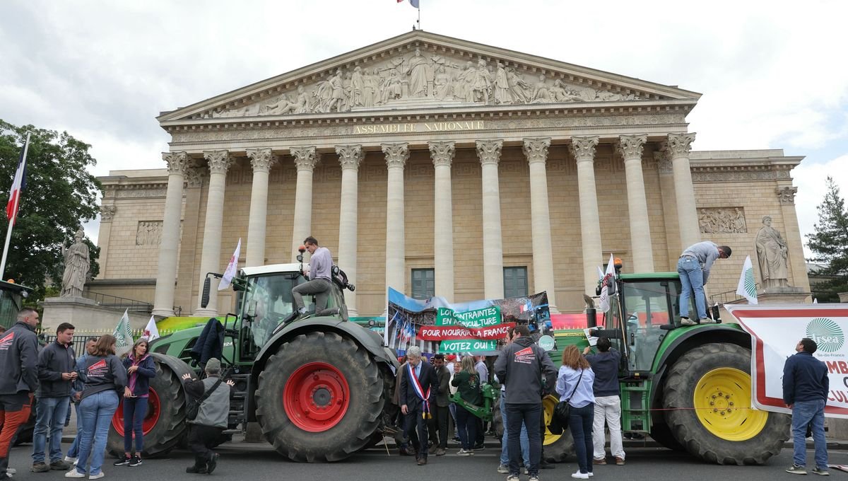Marché du livre d’occasion / Pesticides : le dilemme des agriculteurs / Nicolas Pagnol : héritage cinématographique