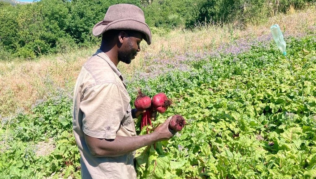 Pierre-Kofi, le seul noir du village