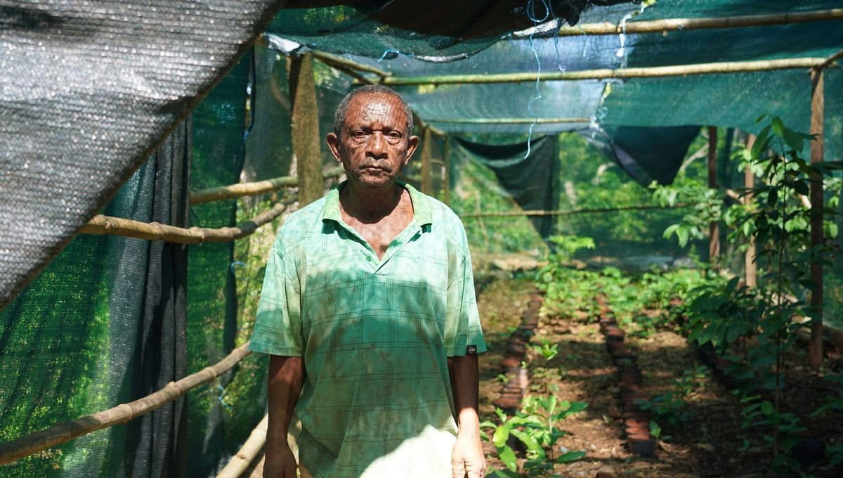 Mayotte, quelle agriculture après Chido ? : épisode 3/5 du podcast Mayotte, un an après le cyclone Chido