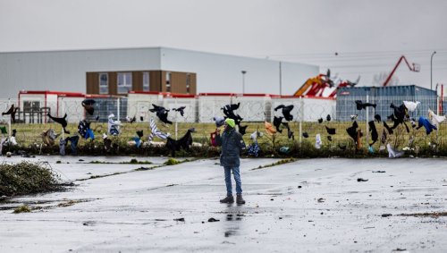 A la frontière : Calais, chronique de la solidarité
