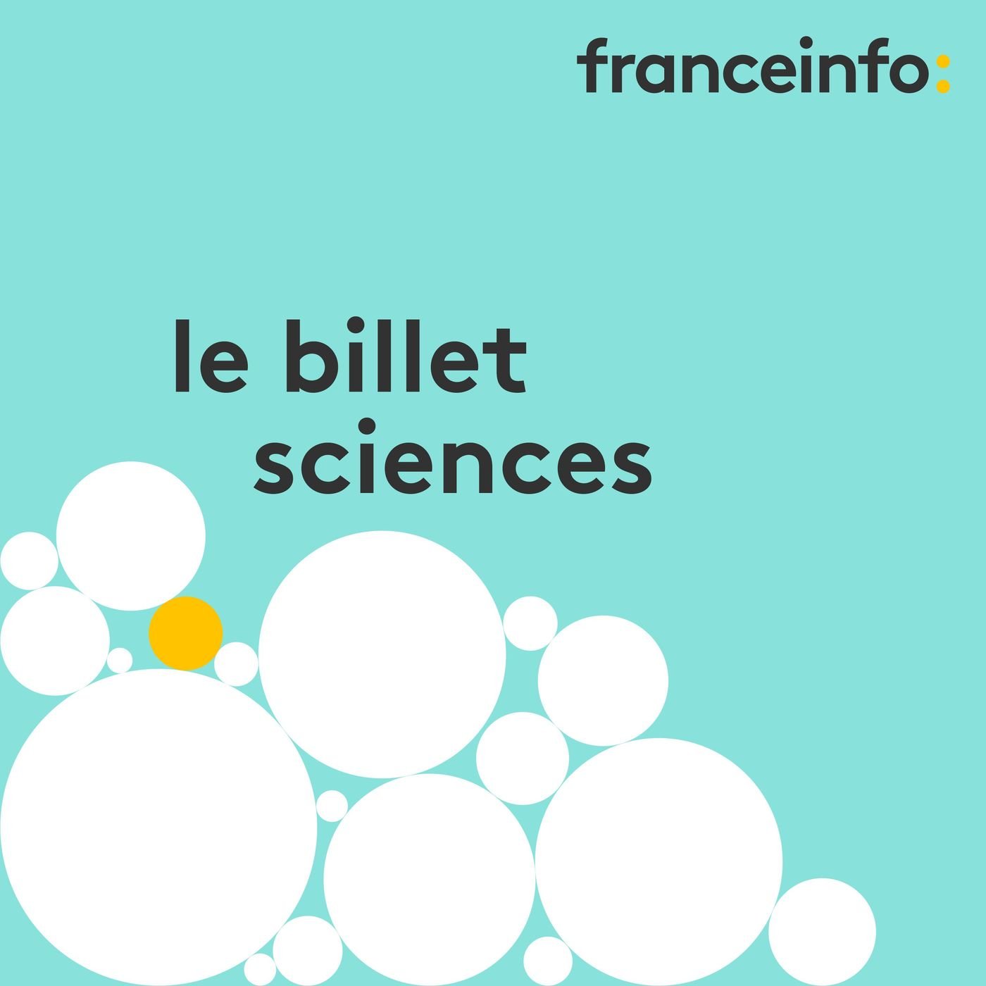 L’agriculture française n’est pas en mesure de se passer de certains pesticides, selon un rapport