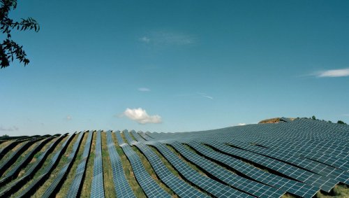 Le "backlash écologique" ou le retour de bâton réactionnaire