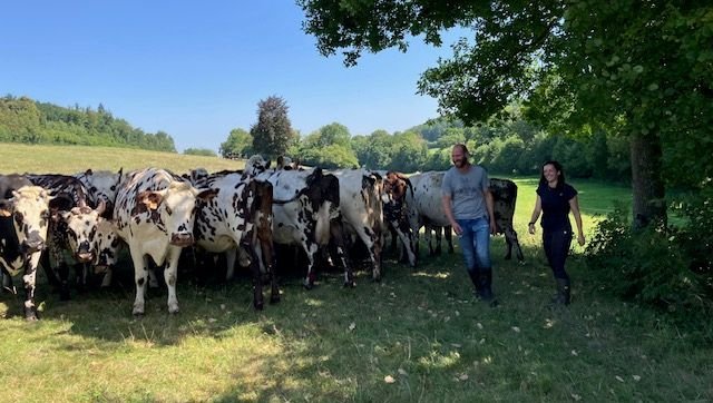 « On a besoin de répit » : des agriculteurs se font remplacer pour prendre un peu de vacances