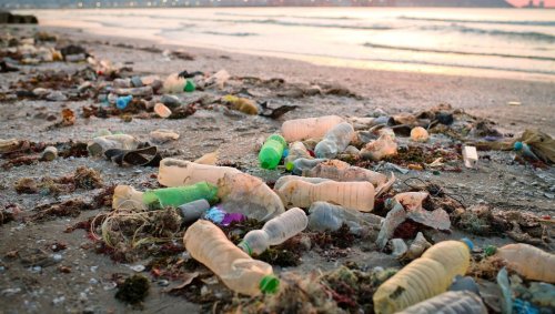 Le plastique n'est pas un bon marqueur de l'entrée dans l'Anthropocène