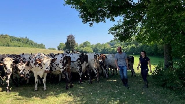 « On a besoin de répit » : des agriculteurs se font remplacer pour prendre un peu de vacances