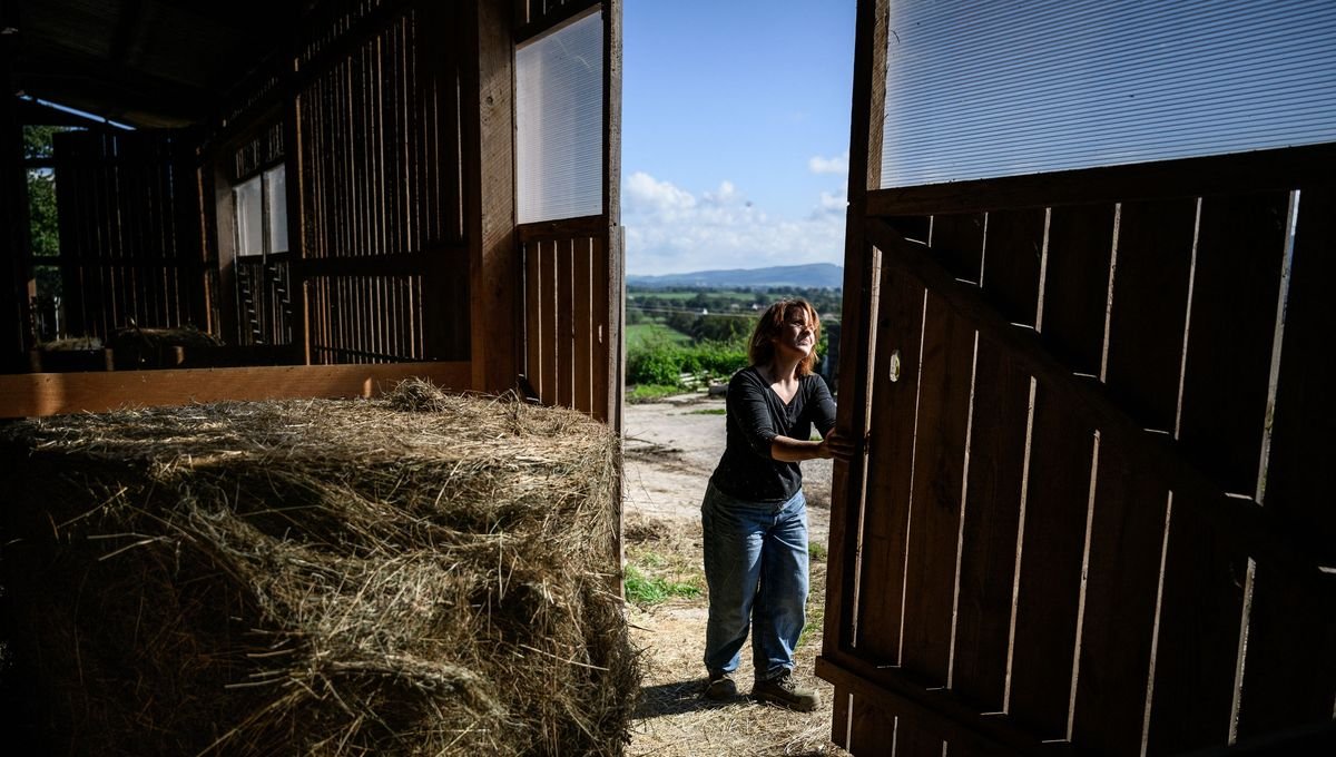 Plus de la moitié des fermes françaises ont disparu depuis la fin des années 80