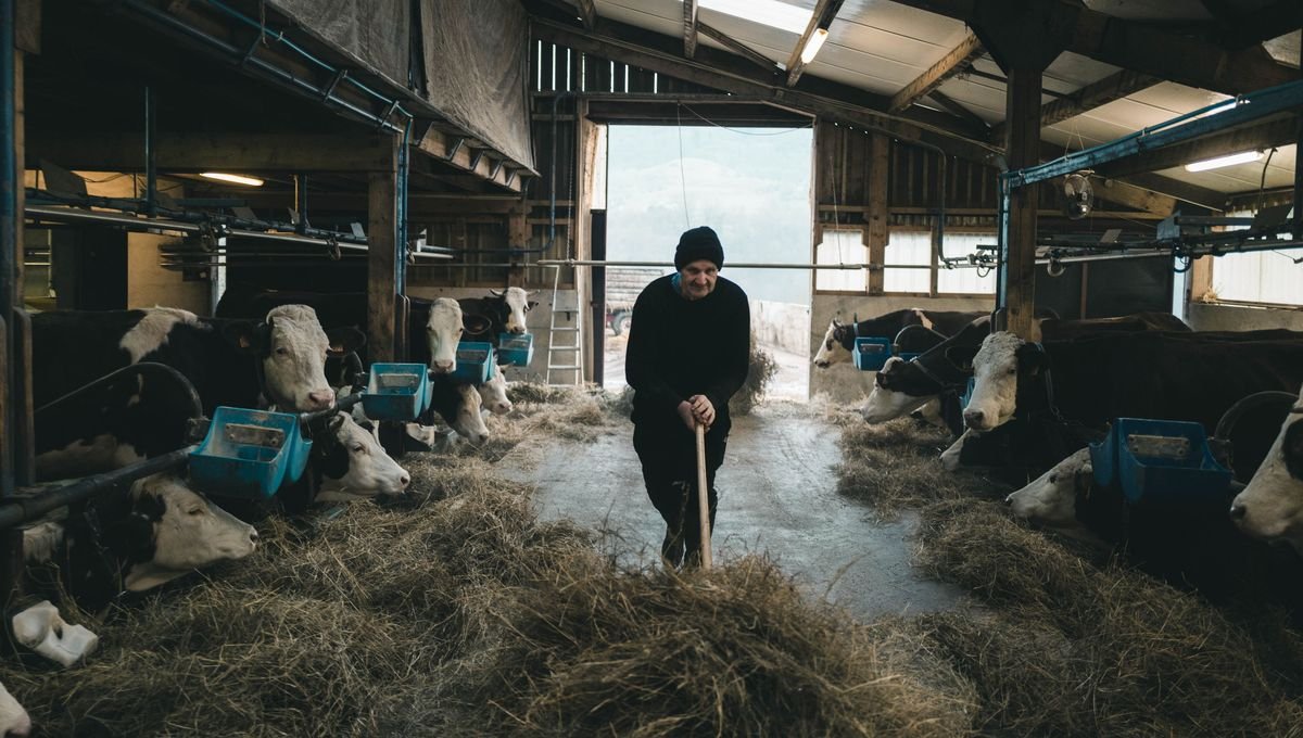 Sur les traces de l&rsquo;origine de la dermatose nodulaire contagieuse en France