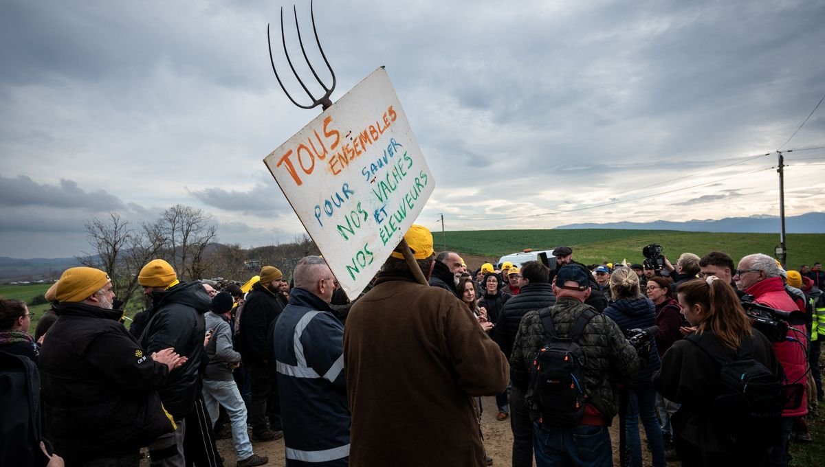 Face à la dermatose bovine, les syndicats agricoles appellent à se mobiliser contre l&rsquo;abattage total