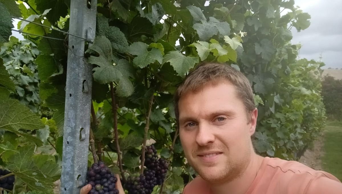 C’est la France, avec Cécilia Arbona : La ferme de la famille Bouin en pleines vendanges