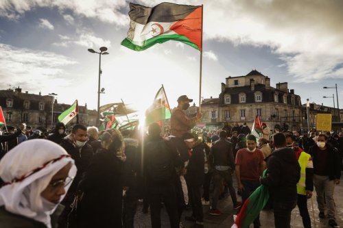 Joseph Breham : "Le Maroc, c’est la Corée du Nord à 2 000 kilomètres de Paris"