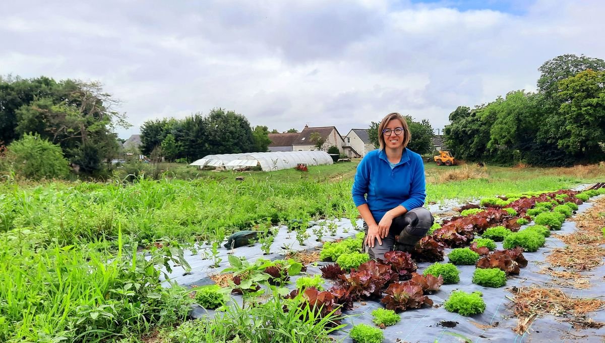 Maraîchage Bio et changement climatique, comment s’adapter ?
