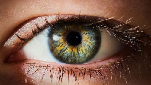 Pourquoi nos yeux ont-ils des couleurs ? Si on a les yeux bleus ou verts, est-ce qu’on voit mieux le bleu ou le vert ?