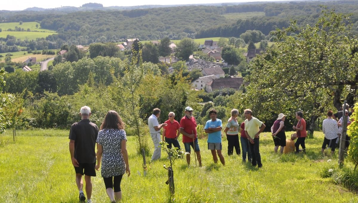 Solidarité Paysans : soutien psychologique et technique pour les agriculteurs en difficulté