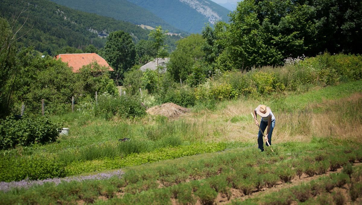Agriculteurs bio : un contre-modèle ?