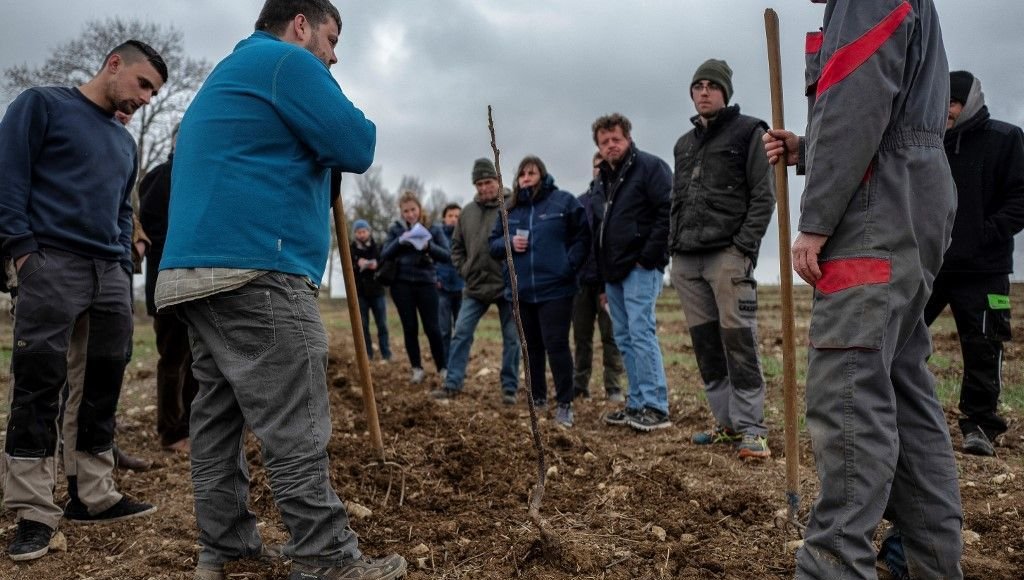Après Duplomb : le protectionnisme sera-t-il la réponse à la crise agricole ?