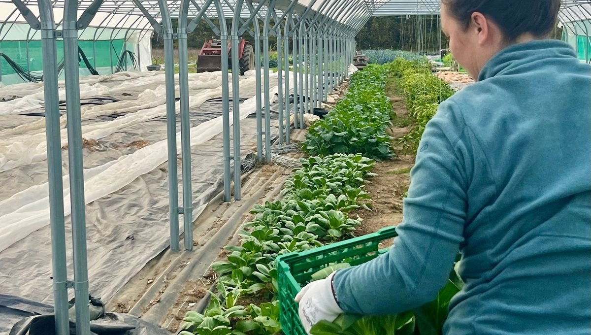 Repenser le modèle agricole et l’aide alimentaire, le défi de la Ferme du Turfu