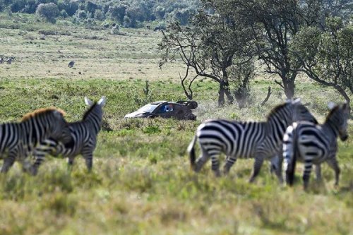 Elfyn Evans gewinnt Safari Rallye Kenia