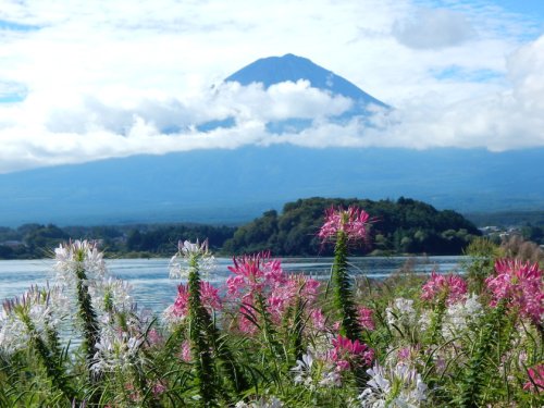 Fujiyama, eine Reise mit dem Bus zu Japans heiligem Berg -