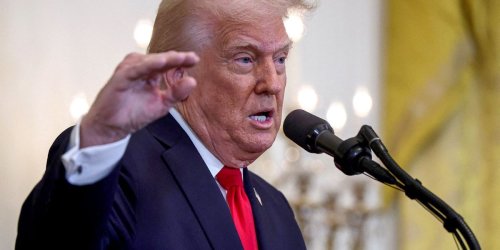 'I'll be the fertilization president': Trump promises 'tremendous goodies' for women