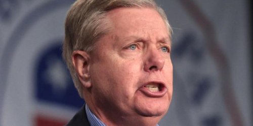Lindsey Graham gets blasted by a legal expert for fighting subpoena in Georgia Trump investigation