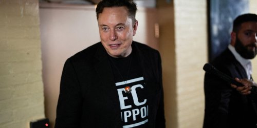 Popular campsites in crucial swing state shuttered due to Elon Musk: report