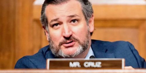 'Constitutionalist' Ted Cruz mocked for dodging questions about Trump's anti-Constitution rant