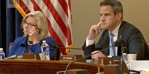 Adam Kinzinger: Republicans 'are scared — and they should be'
