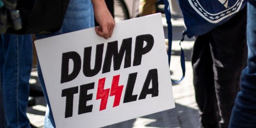 'Huge damage': Irked investor doubts 'despised' Elon Musk can fix free-falling Tesla