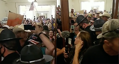 Chaos in Idaho as anti-masker Ammon Bundy and his followers storm state's House of Representatives