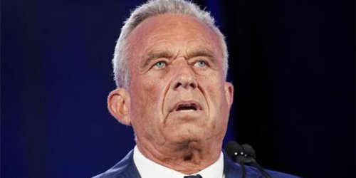 'It's going to kill all of them': Veterinarian slams Robert F. Kennedy Jr.'s bird flu plan