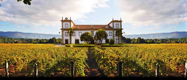 The New Generation of Refreshing Summer Wines From Portugal
