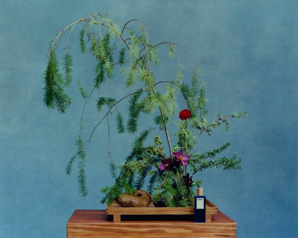 Sensory Exploration With the Launch of Loewe’s Botanical Rainbow