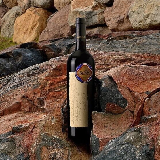 Eduardo Chadwick’s Seña, Chile’s First Icon Wine
