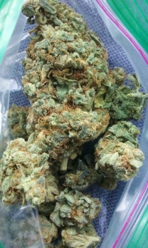 Buy Strawberry Cough Marijuana Strain - rcchemic.com