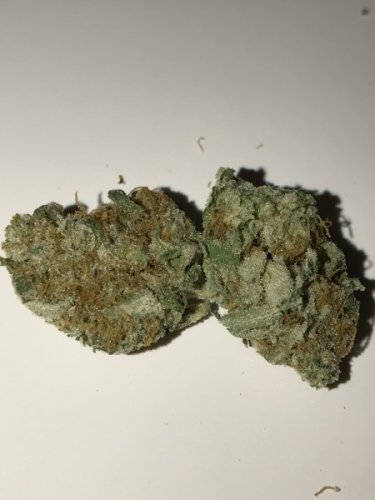 Buy Chernobyl Marijuana Strain - rcchemic.com