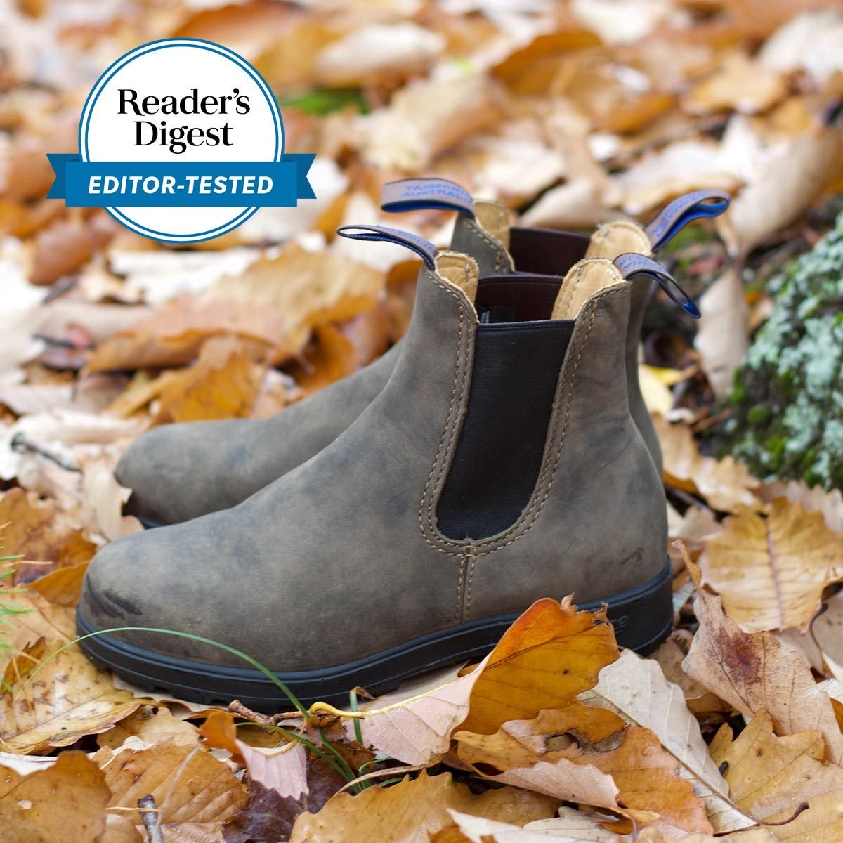 Prepare for Fall With These Transitional Season Finds