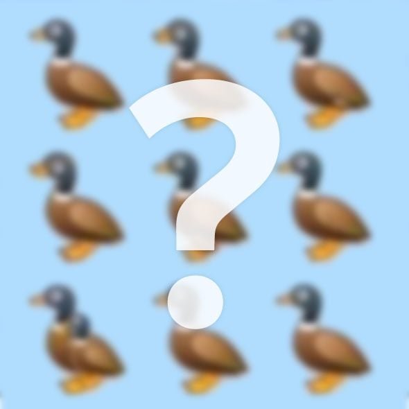 How Many Ducks Do You See? Try to Solve the Viral Riddle